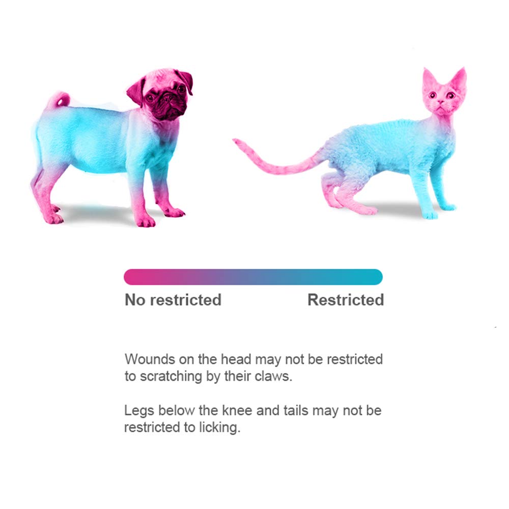 Adjustable Soft Recovery Collar for Pets F1804