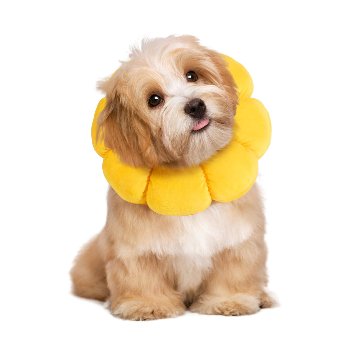 Soft Dog Cone for Dogs and Cats, Adjustable Dog Collar Alternative A461