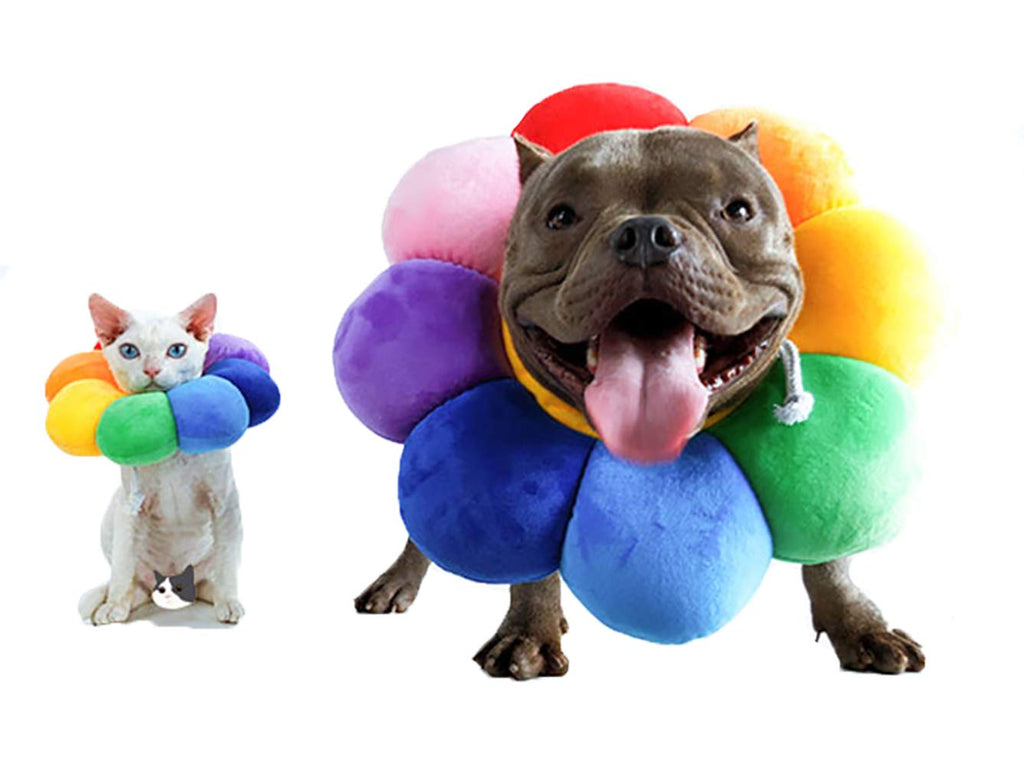 Adjustable Soft Recovery Collar for Pets F1804