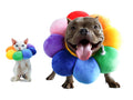 Adjustable Soft Recovery Collar for Pets F1804