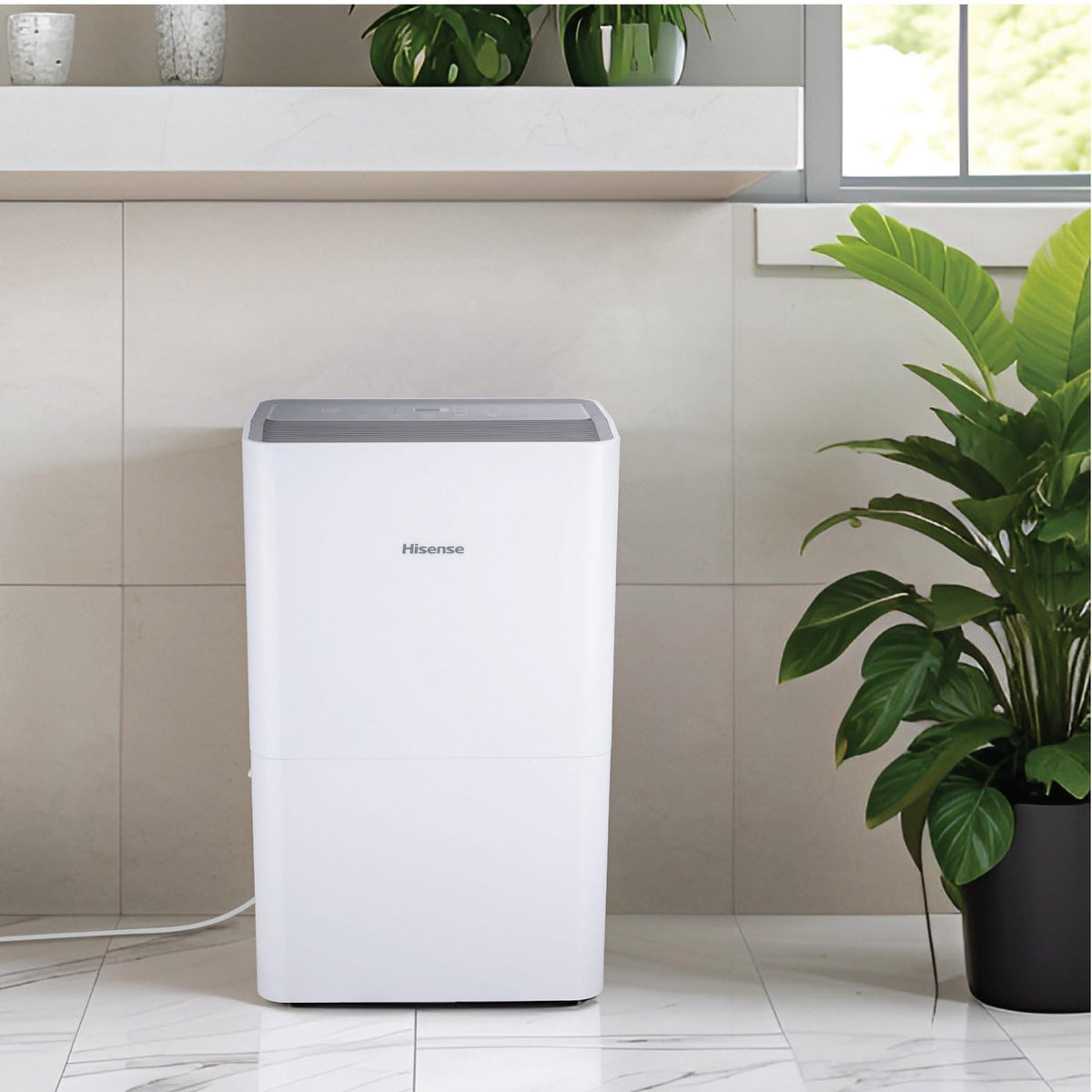 50-Pint Portable Dehumidifier T466680