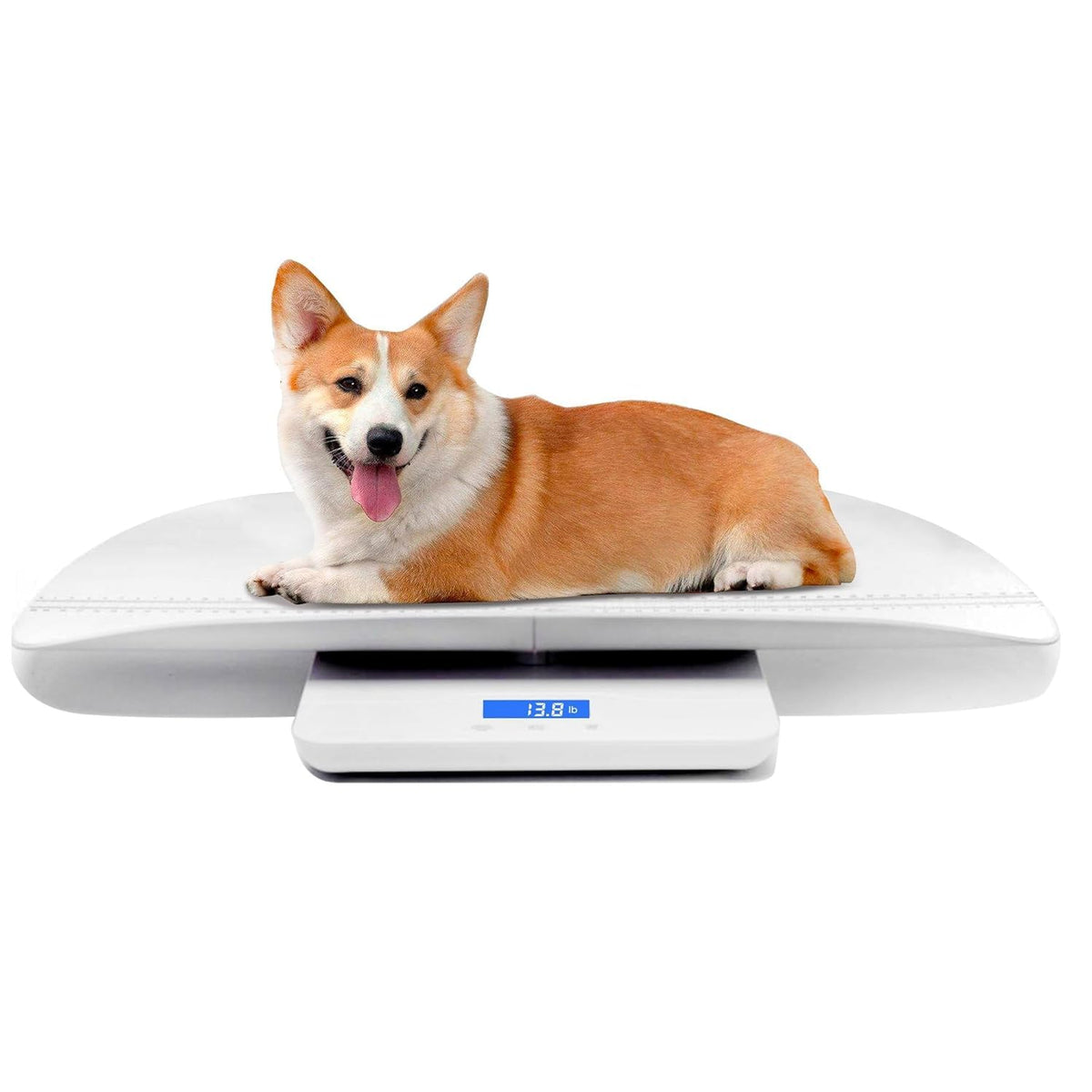 Digital Pet Scale with 3 Weighing Modes, Max 220 lbs, White D5174