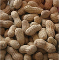 In-Shell Peanuts Wild Animal Food 25 Pound Bag Pack of 2 B69140