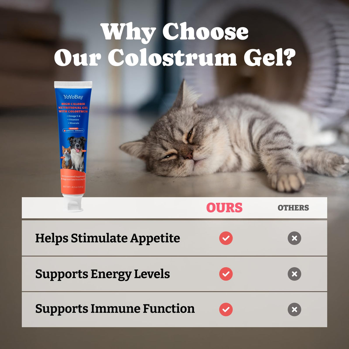 Bovine Colostrum Gel for Dogs & Cats F452335