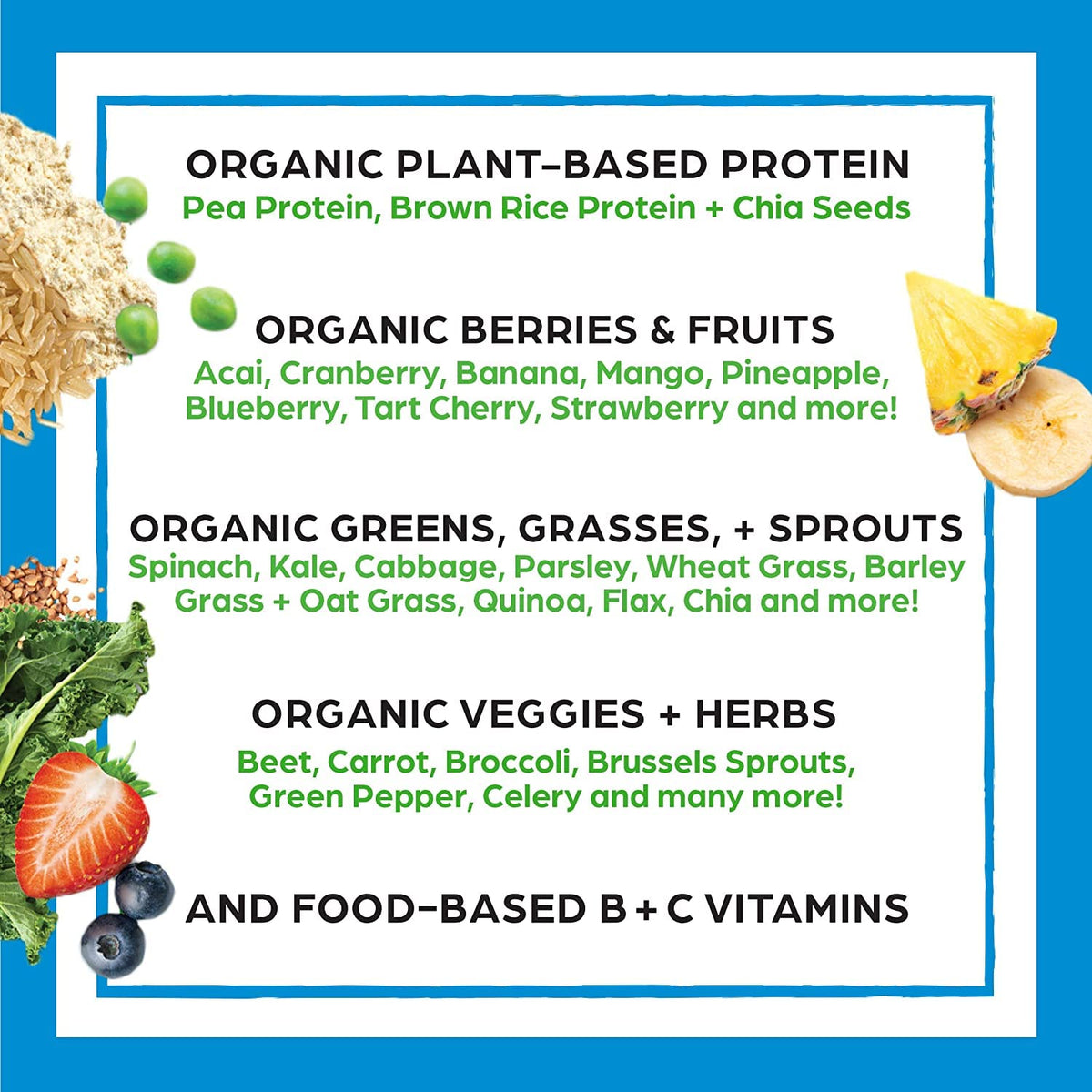 Organic Protein and Greens Powder K4288