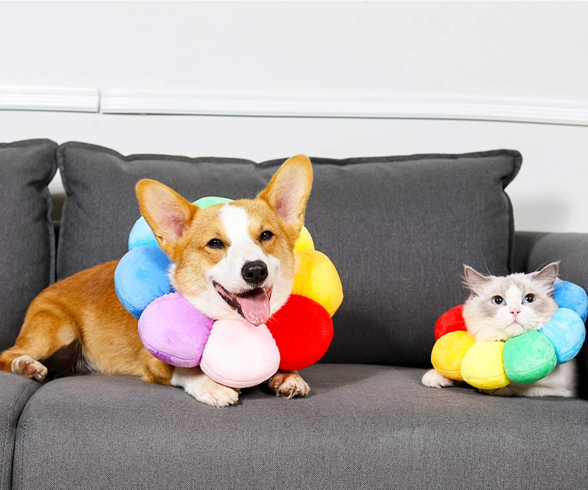 Adjustable Soft Recovery Collar for Pets F1804