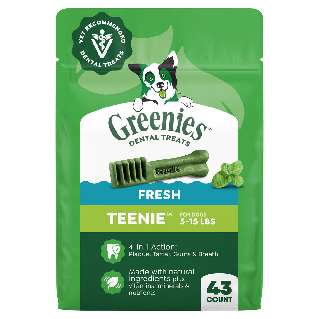 Fresh Mint Dental Dog Treats 43 Count D8030