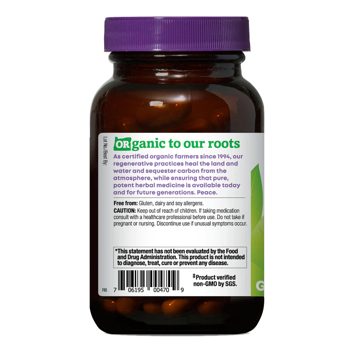 Organic Ashwagandha Ginkgo Vegan Capsules 90 Count C307483