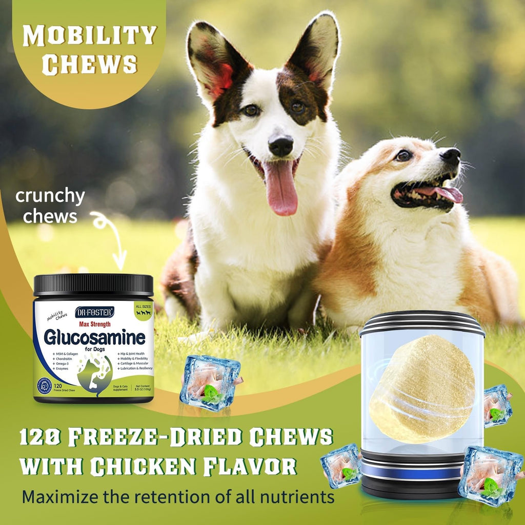 Glucosamine for Dogs Chicken Flavor 120 Freeze-Dried Chews C181320