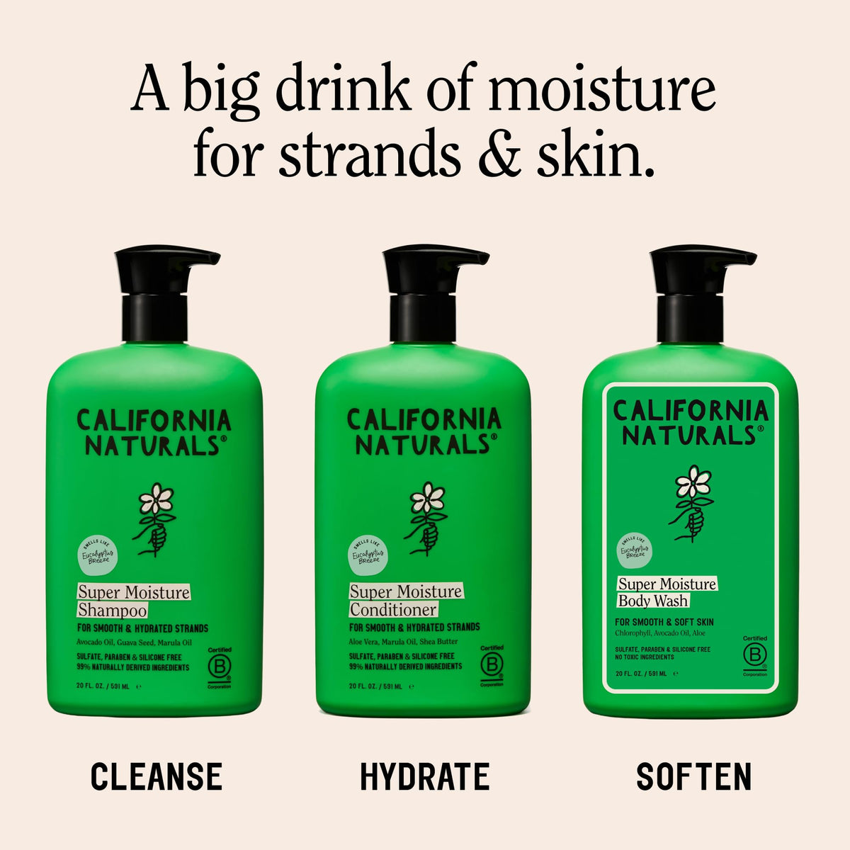 Eucalyptus Breeze Moisture Shampoo and Conditioner Set 20 fl oz S52575