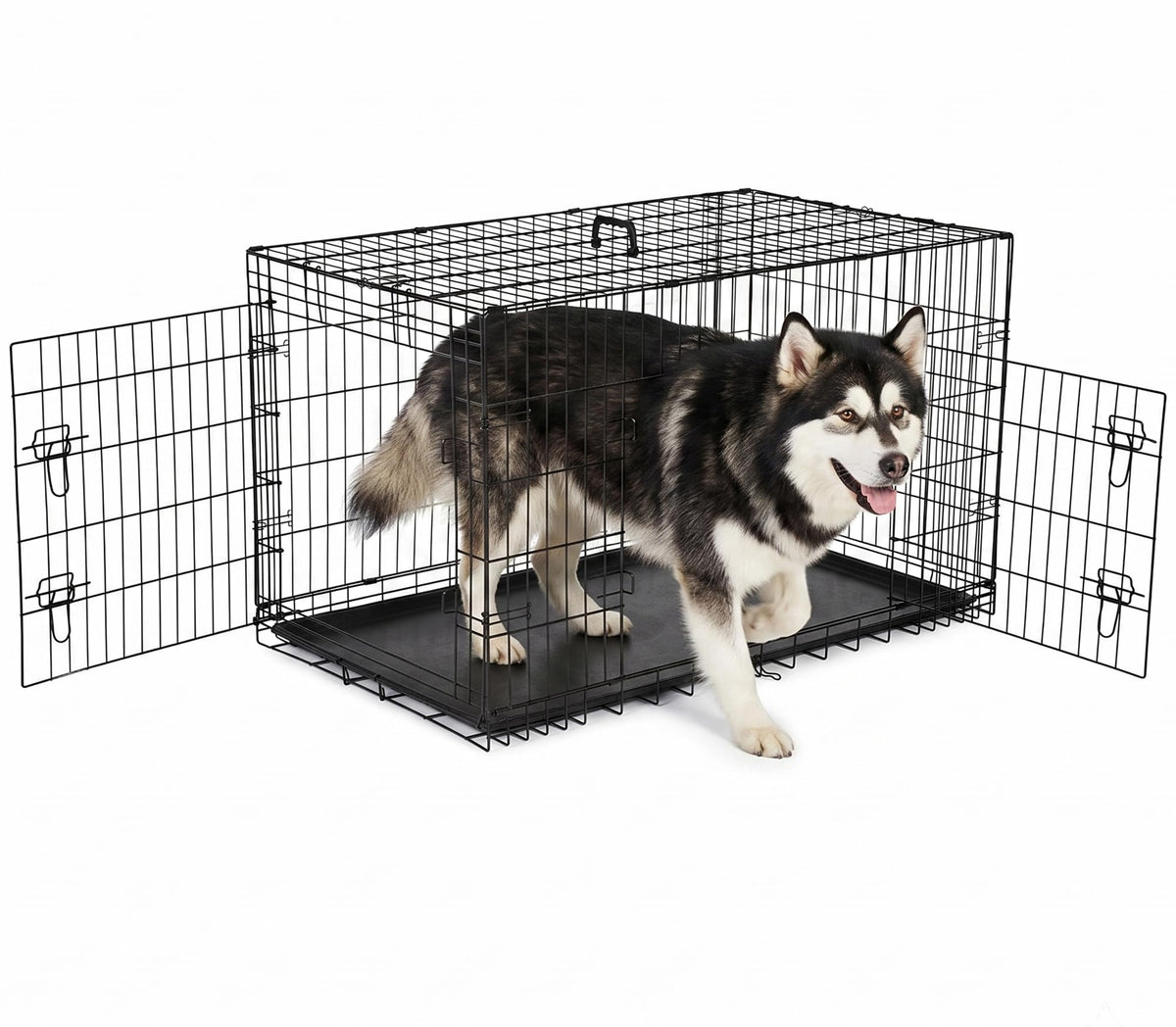 48 inch Folding Metal Wire Dog Crate with Double Door U802