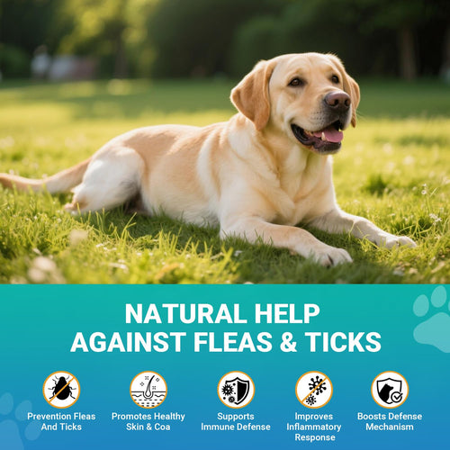 120 Soft Chews Flea and Tick Chewables for Dogs Chicken Flavor T9086