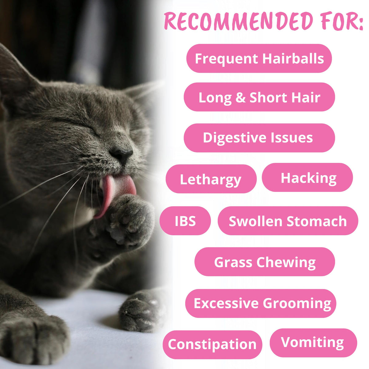 Star Shaped Soft Chews for Cats V8970