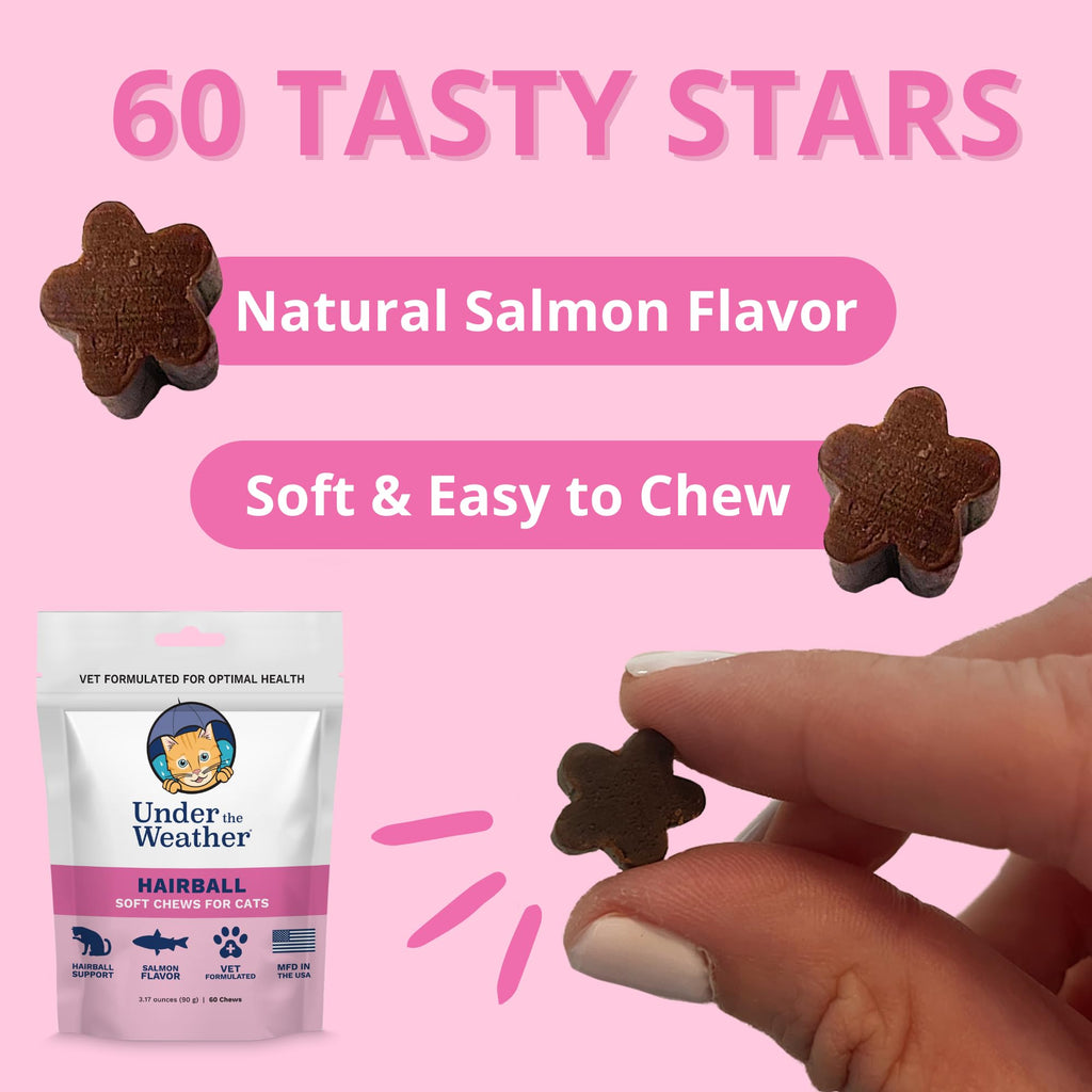Star Shaped Soft Chews for Cats V8970