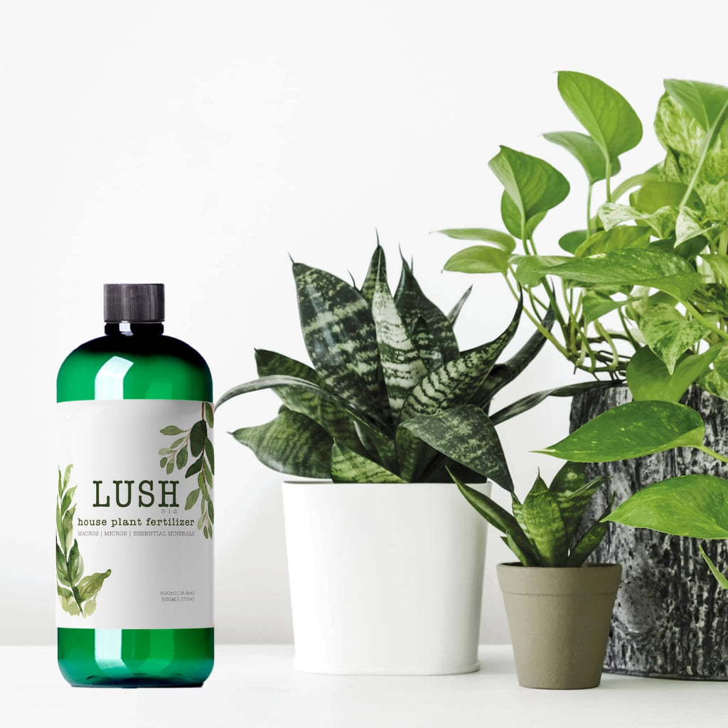 Houseplant Fertilizer Z973762