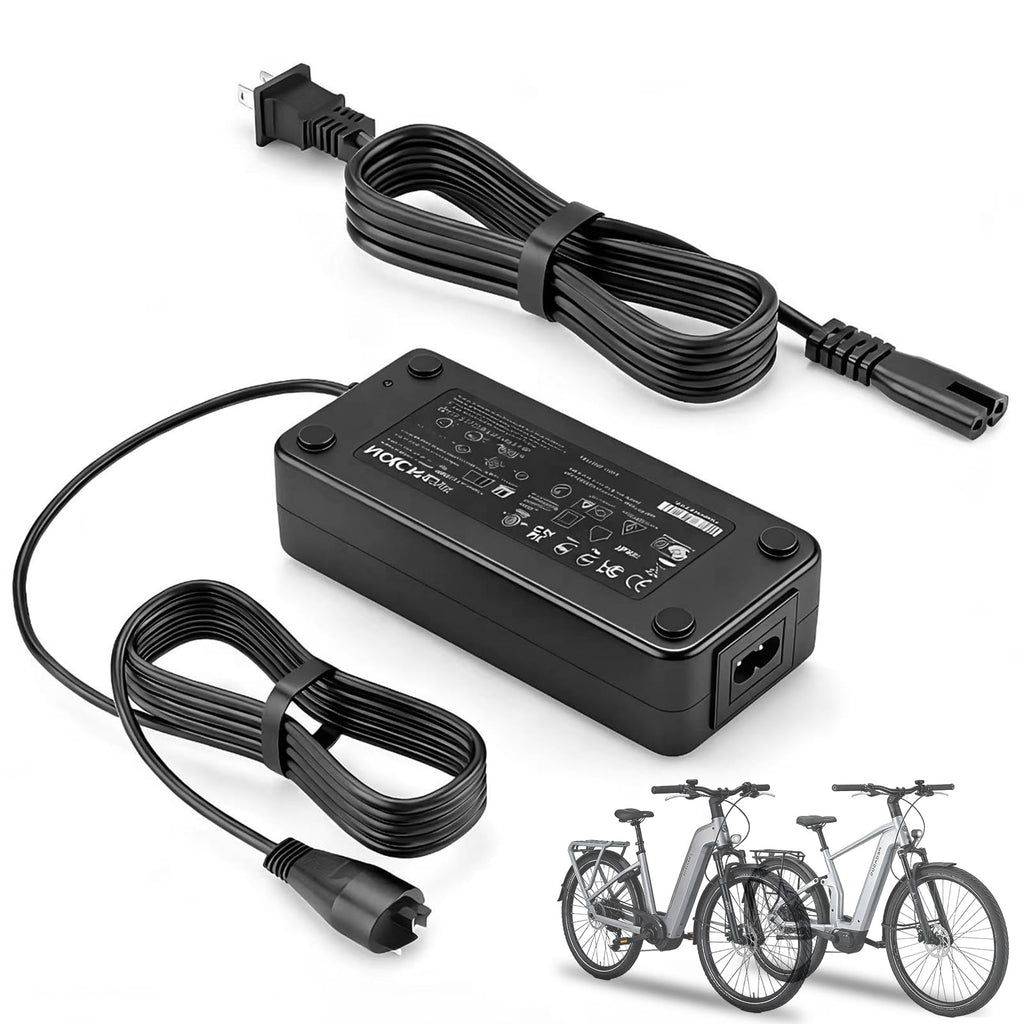 42V 2A Smart Battery Charger for 36V Lithium Battery W34310