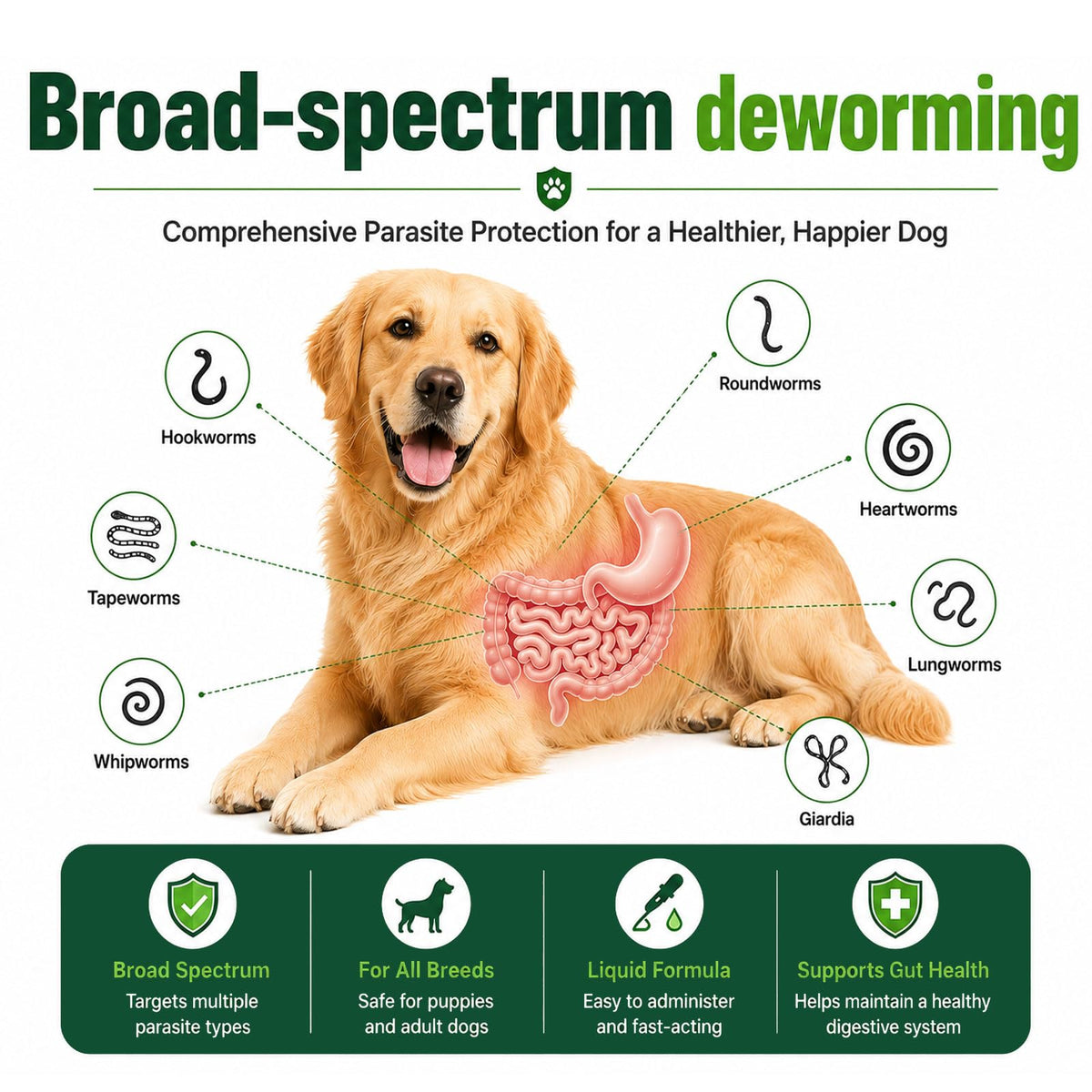 Liquid Broad Spectrum Dog Dewormer 120ml N5755