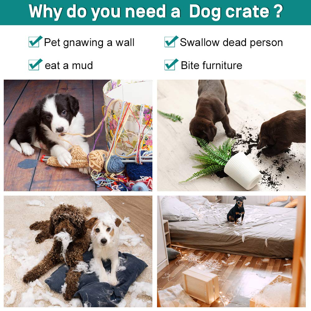 42 Inch Metal Wire Double-Door Folding Dog Crate with Tray X977