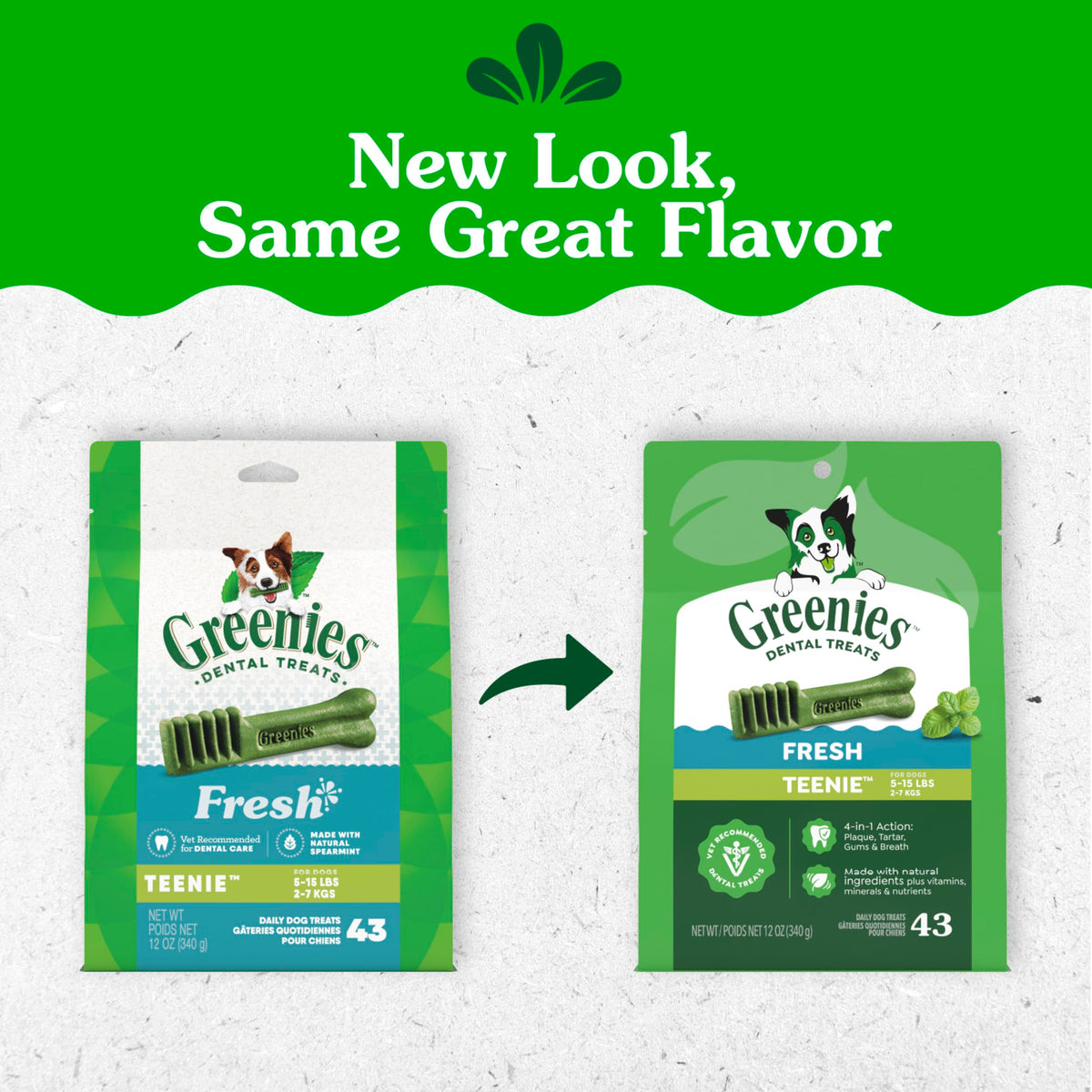 Fresh Mint Dental Dog Treats 43 Count D8030