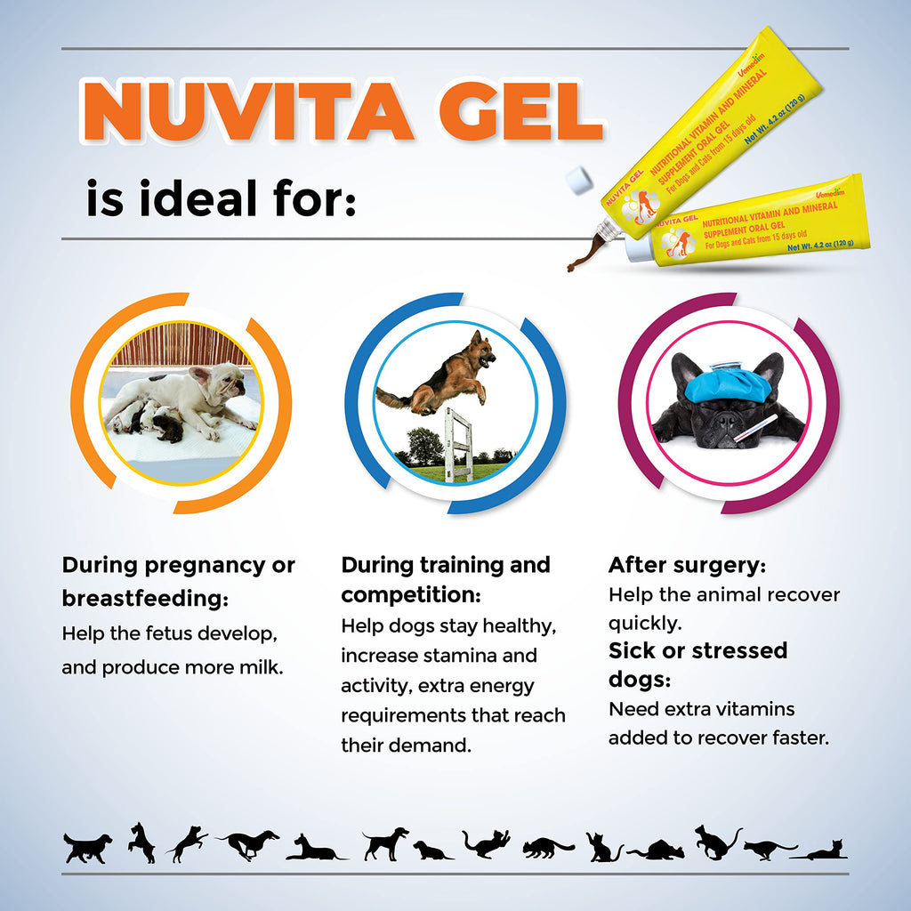 Nutritional Vitamin Gel for Dogs and Cats 4.2 oz O41436