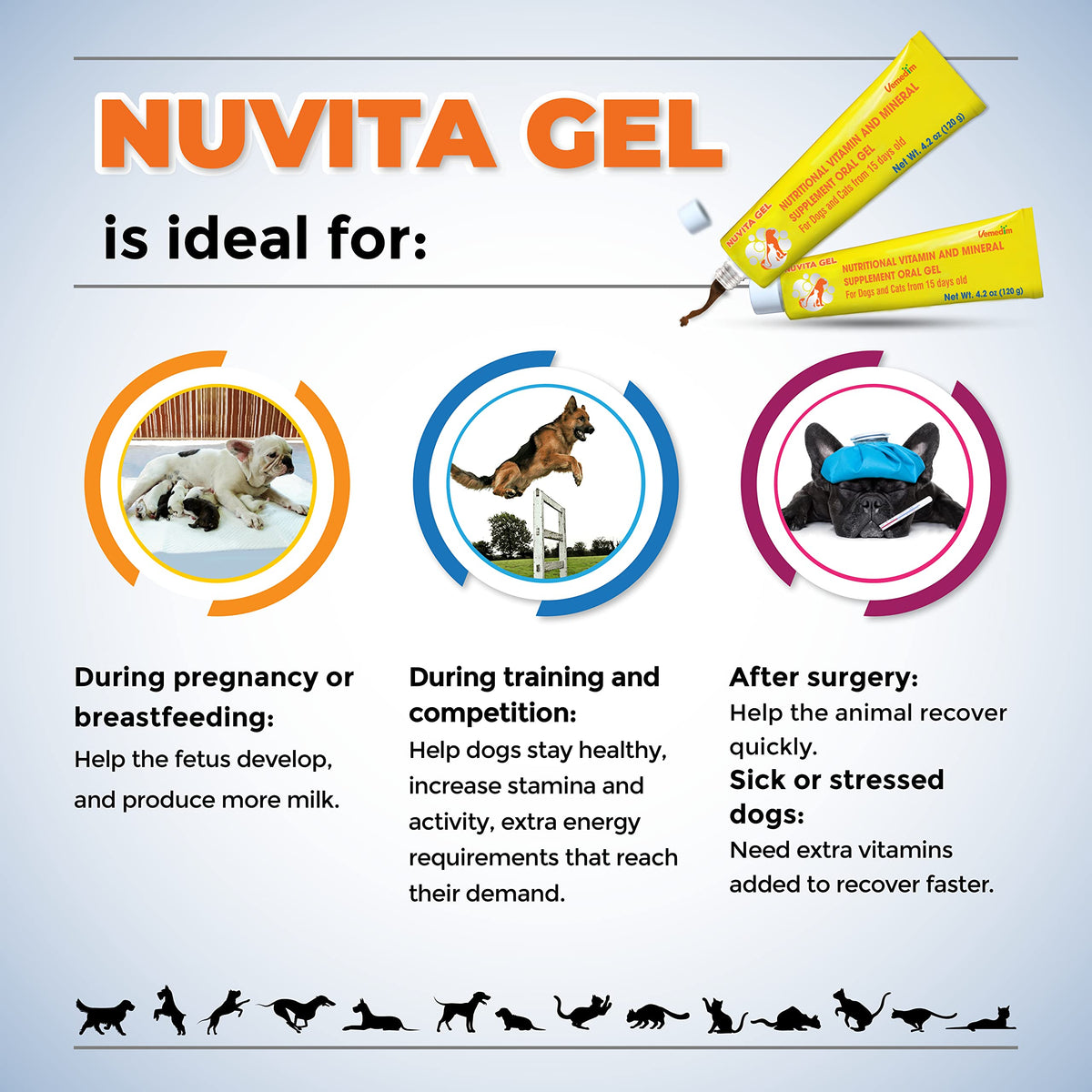 Nutritional Vitamin Gel for Dogs and Cats 4.2 oz O41436