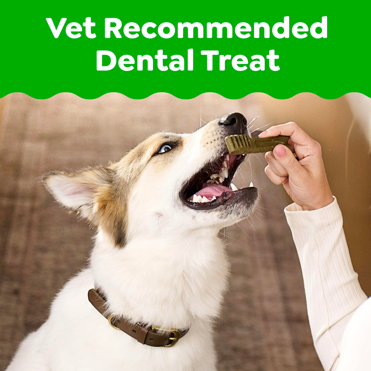 Fresh Mint Dental Dog Treats 43 Count D8030