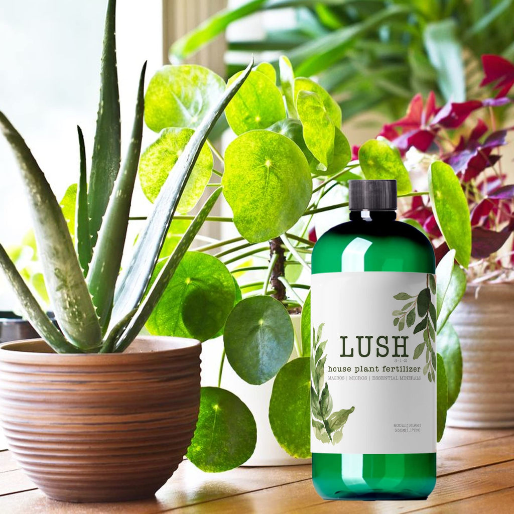 Houseplant Fertilizer Z973762
