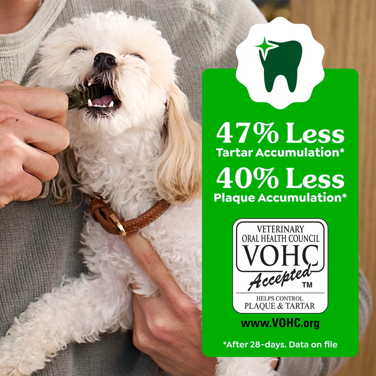 Fresh Mint Dental Dog Treats 43 Count D8030