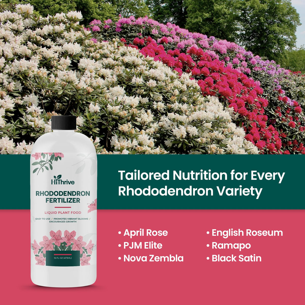 16oz Rhododendron Plant Food D336235