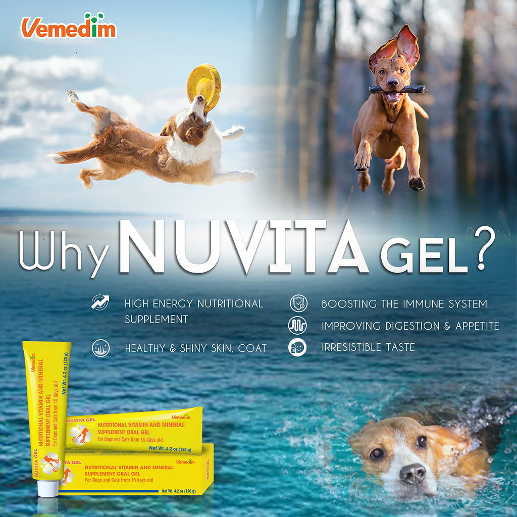 Nutritional Vitamin Gel for Dogs and Cats 4.2 oz O41436