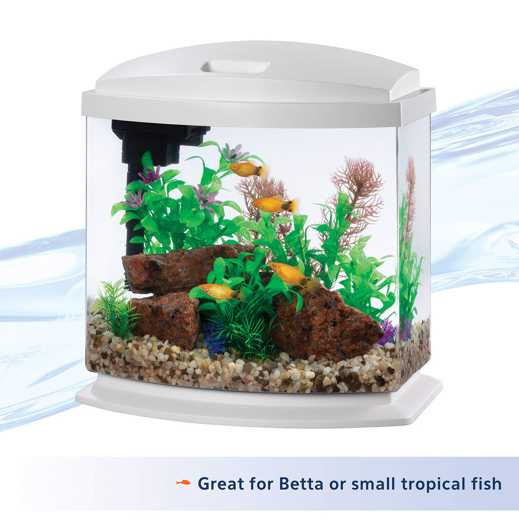 White 2.5 Gallon Aquarium Fish Tank Kit Y145