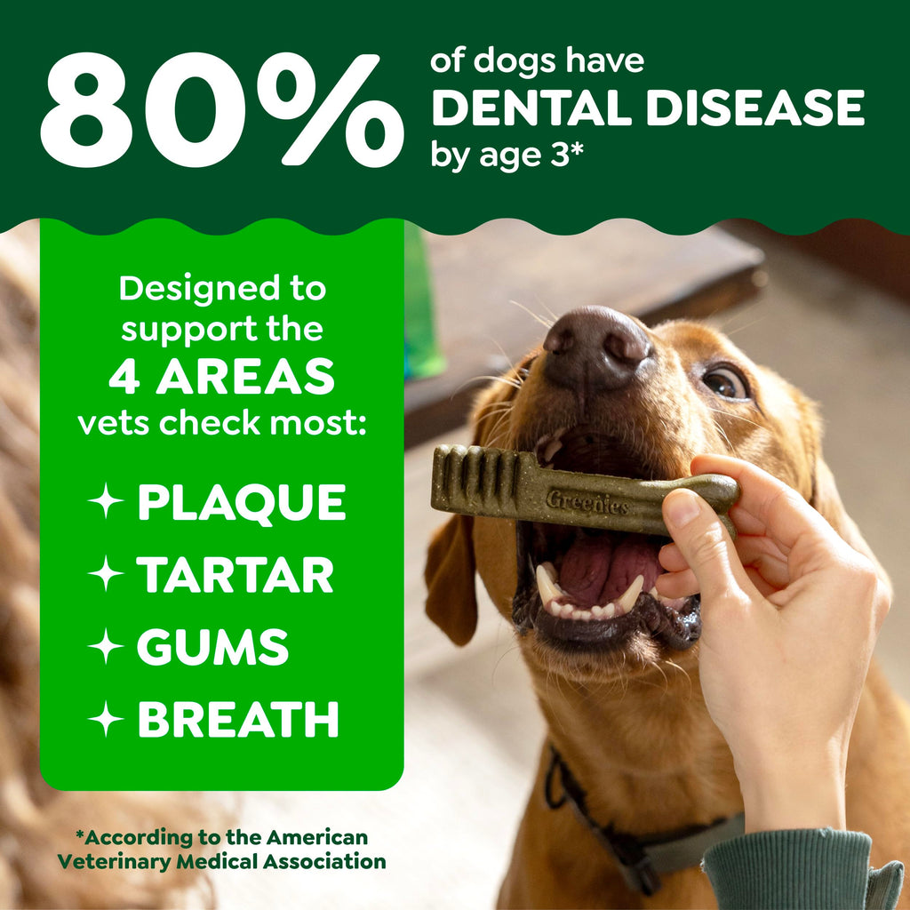 Fresh Mint Dental Dog Treats 43 Count D8030