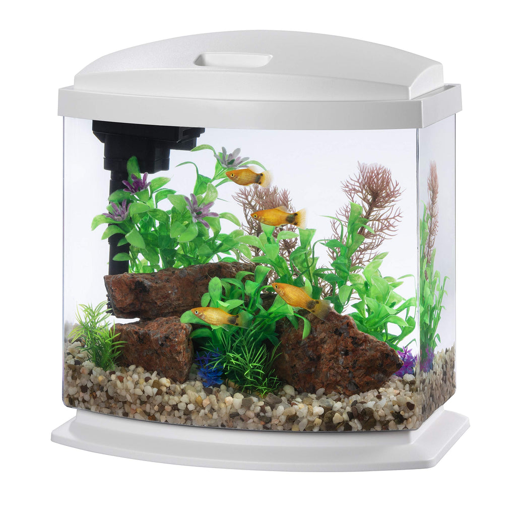 White 2.5 Gallon Aquarium Fish Tank Kit Y145