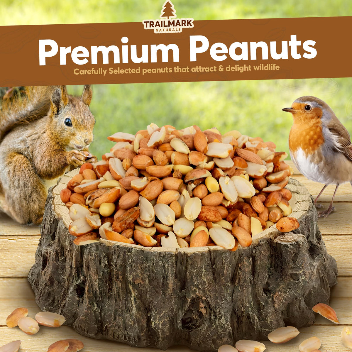 Raw Shelled Peanuts H256
