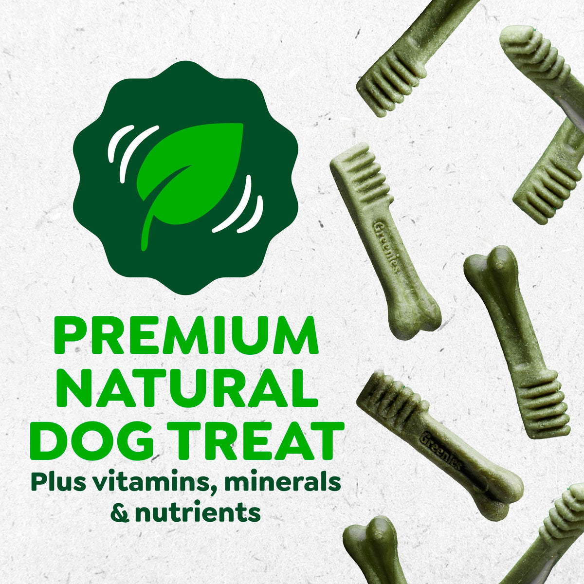 Fresh Mint Dental Dog Treats 43 Count D8030